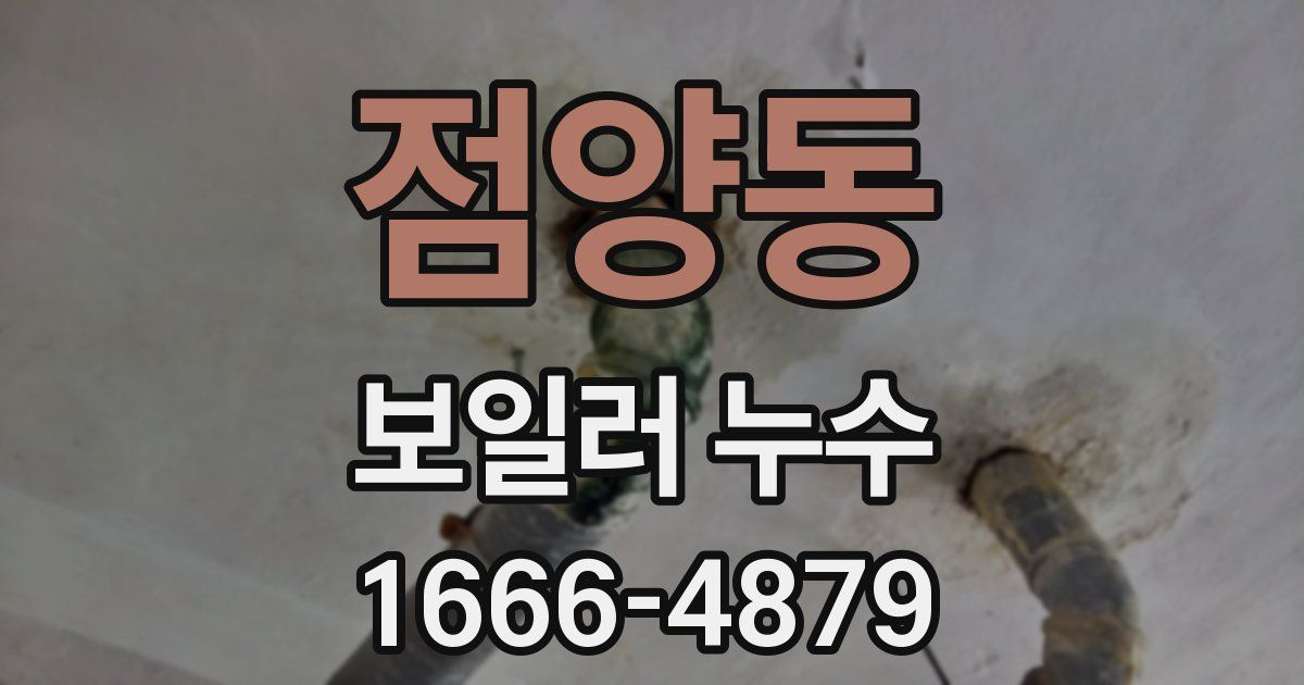 점양동 보일러 누수