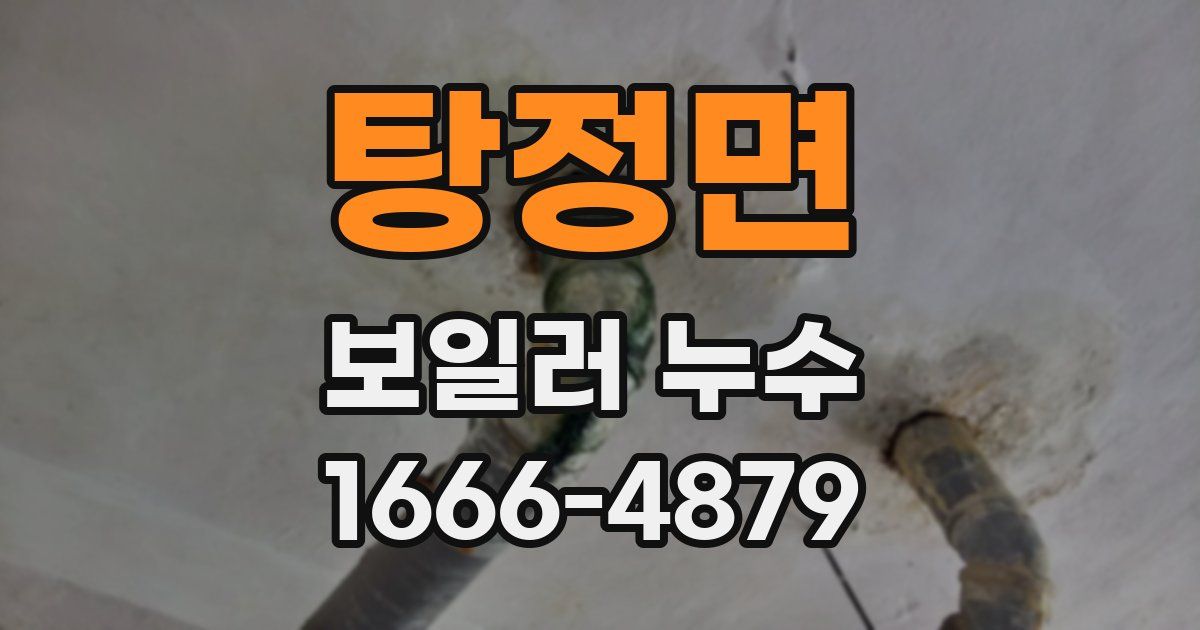 탕정면 보일러 누수
