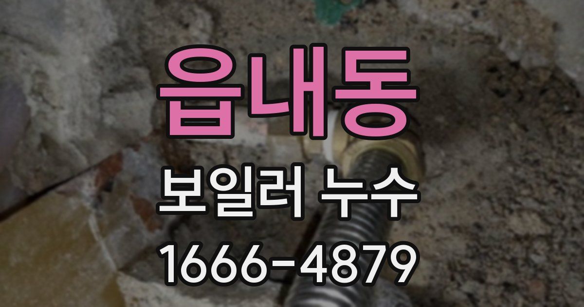 읍내동 보일러 누수