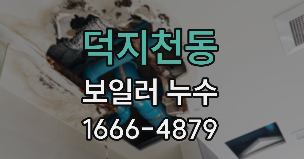 덕지천동 보일러 누수