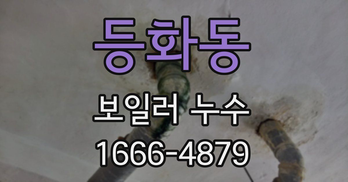 등화동 보일러 누수