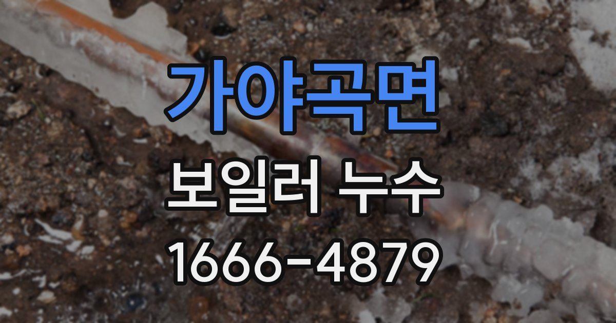가야곡면 보일러 누수