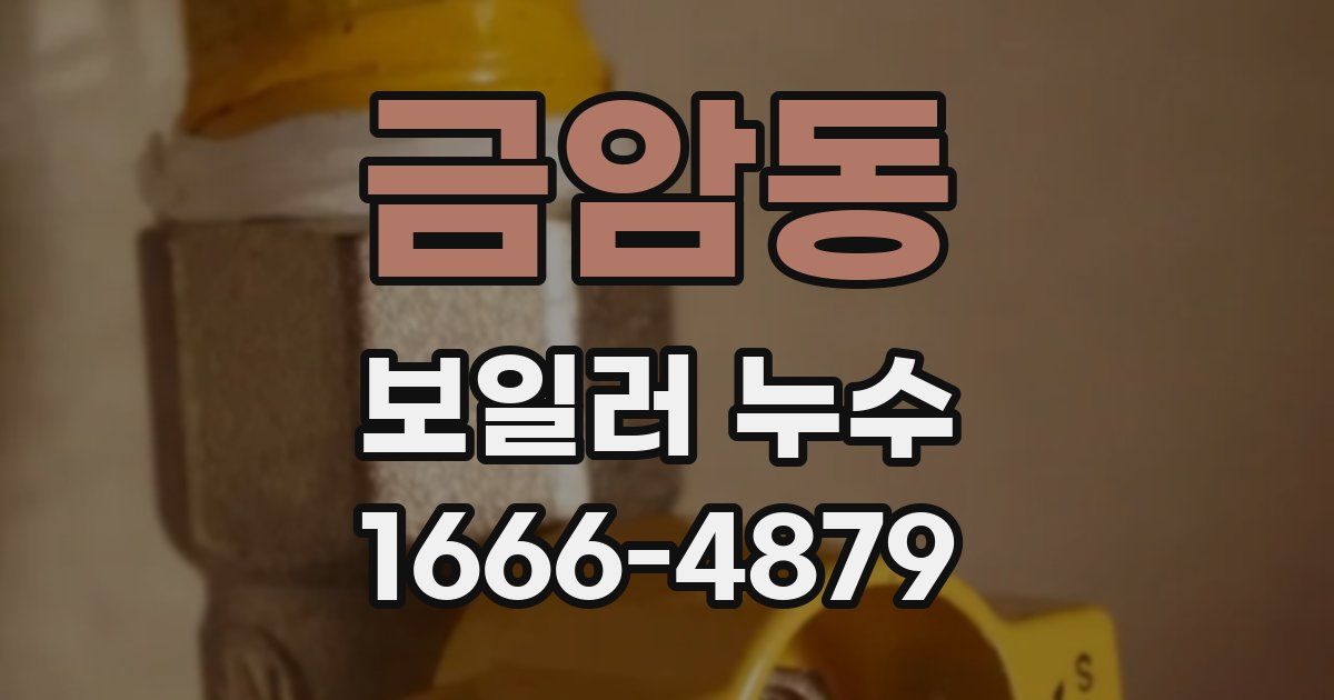 금암동 보일러 누수