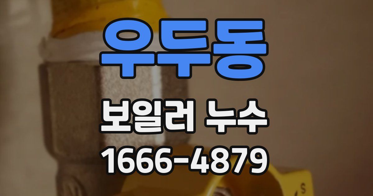 우두동 보일러 누수