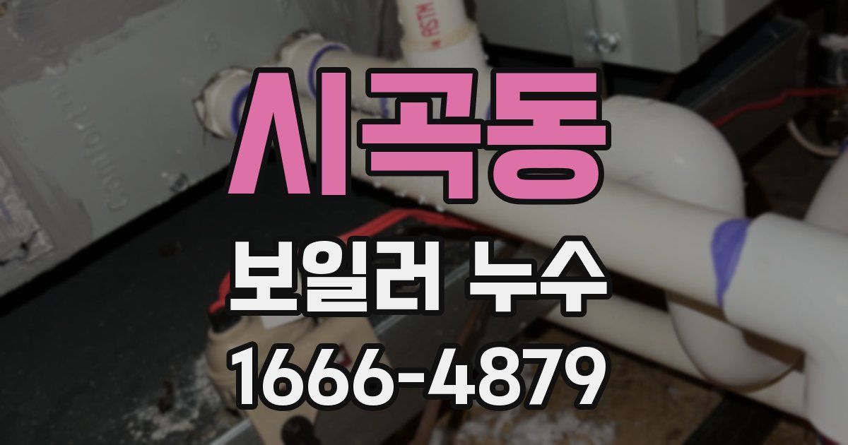 시곡동 보일러 누수