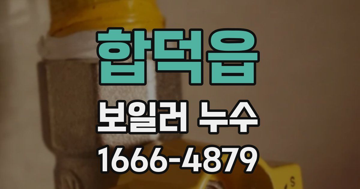 합덕읍 보일러 누수