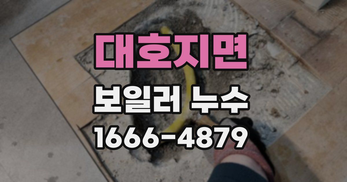대호지면 보일러 누수