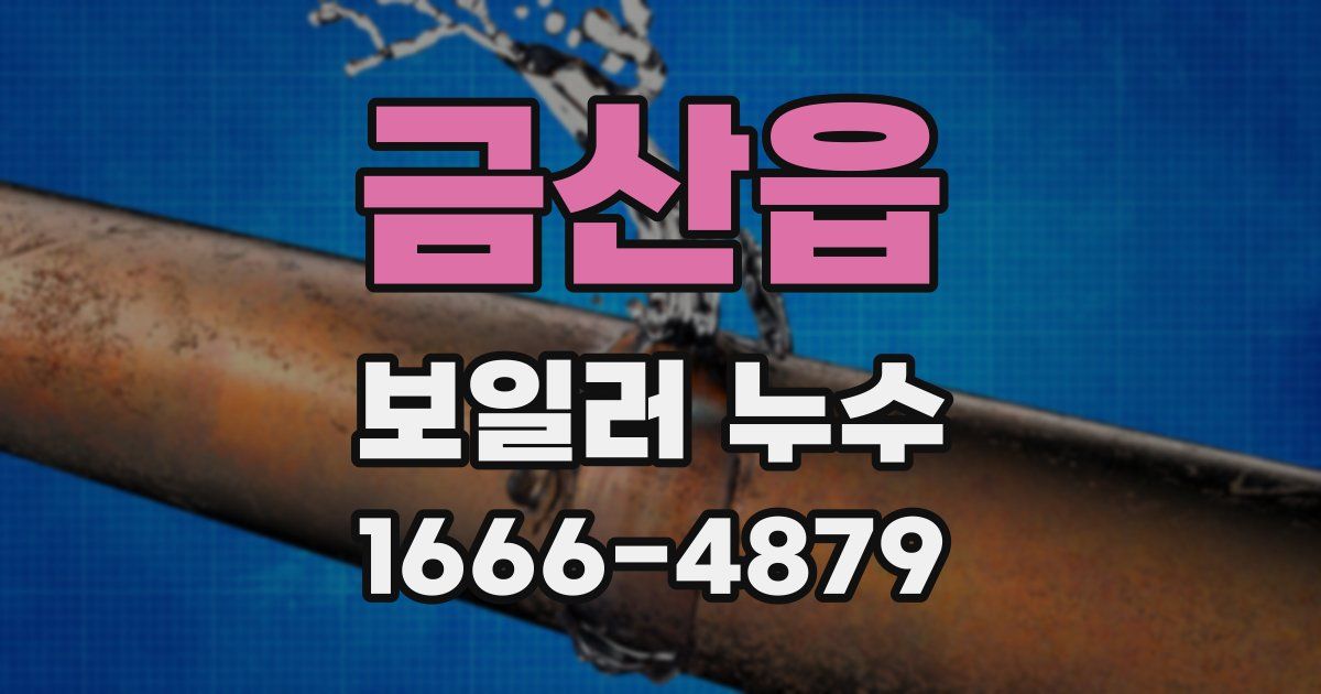 금산읍 보일러 누수