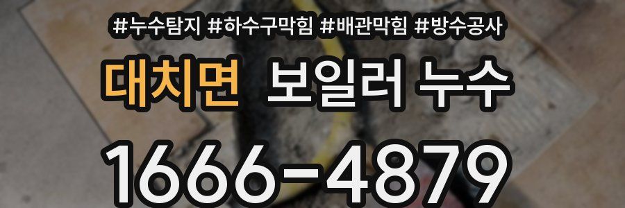 대치면 보일러 누수