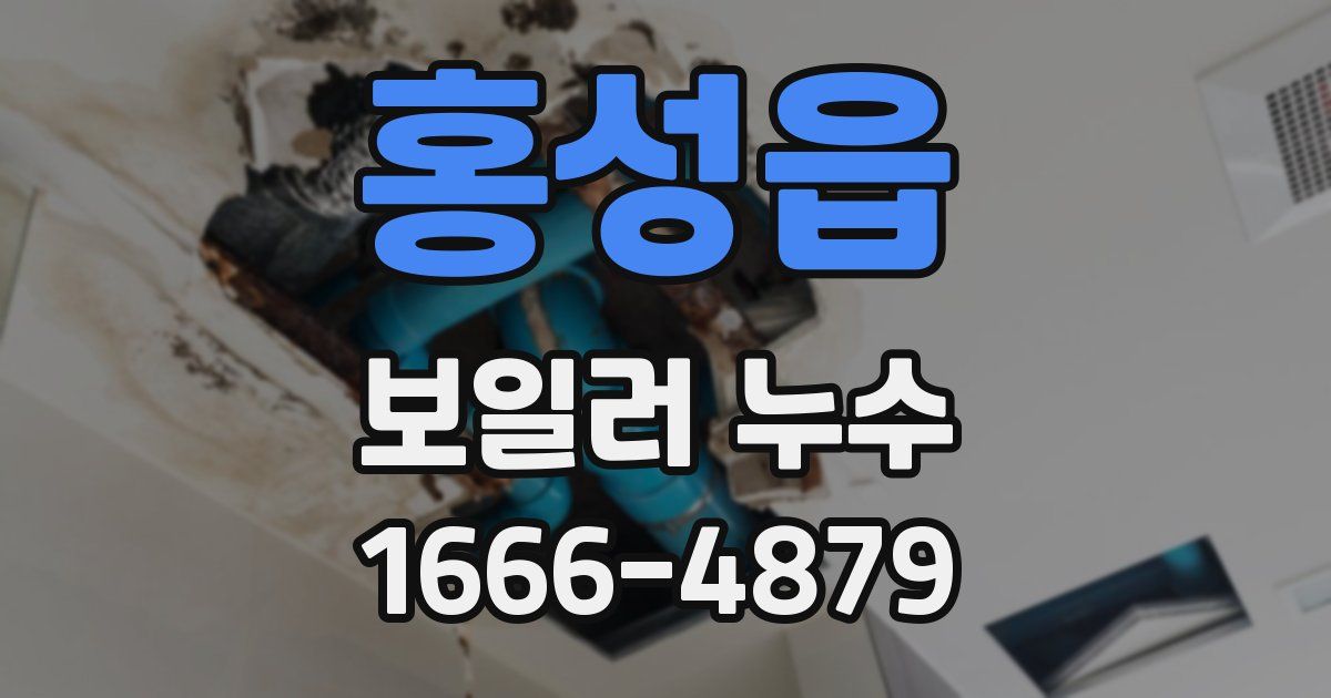 홍성읍 보일러 누수