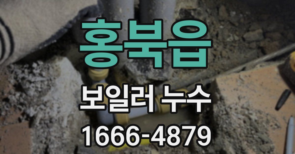 홍북읍 보일러 누수