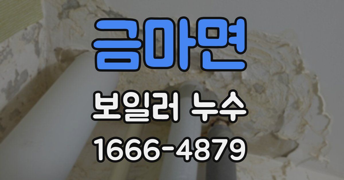 금마면 보일러 누수