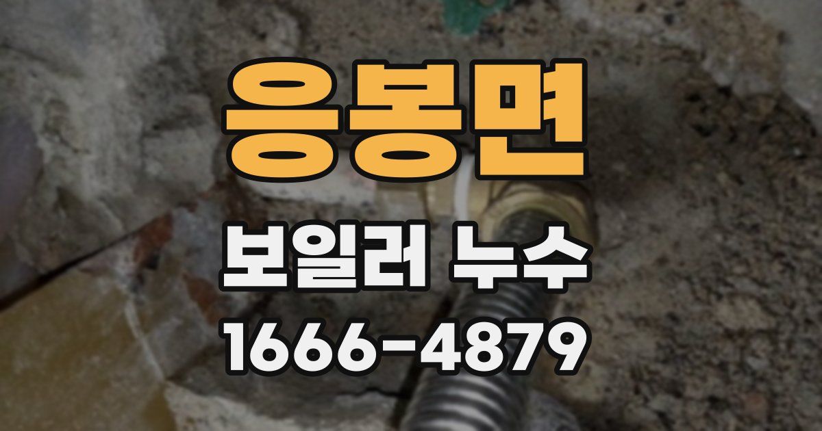 응봉면 보일러 누수
