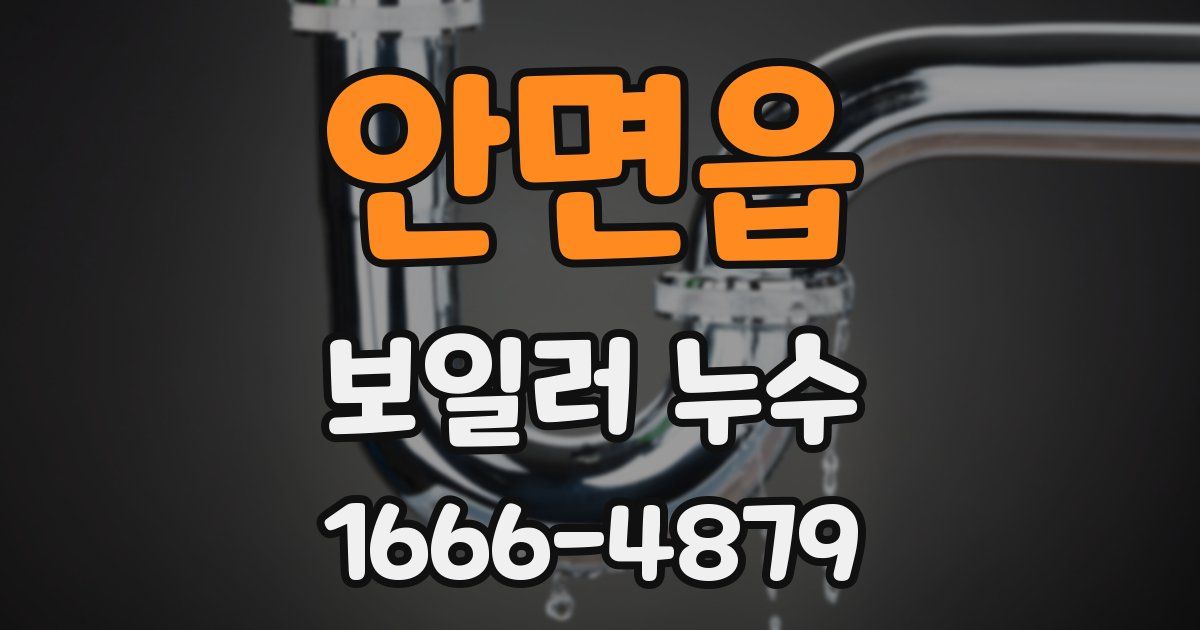 안면읍 보일러 누수