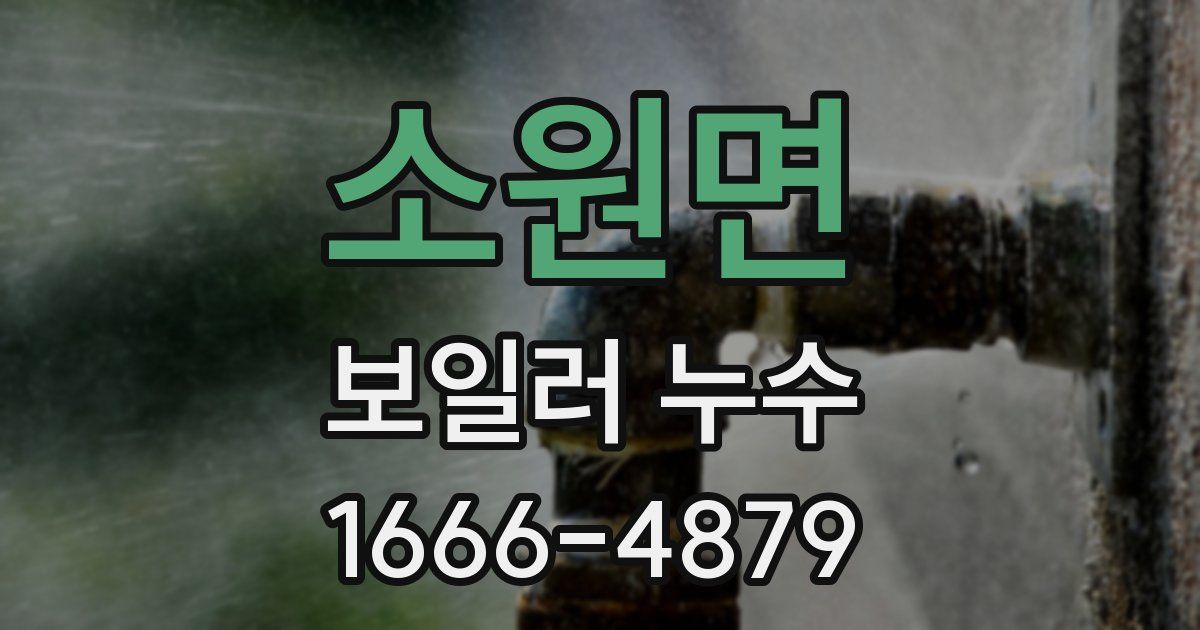 소원면 보일러 누수