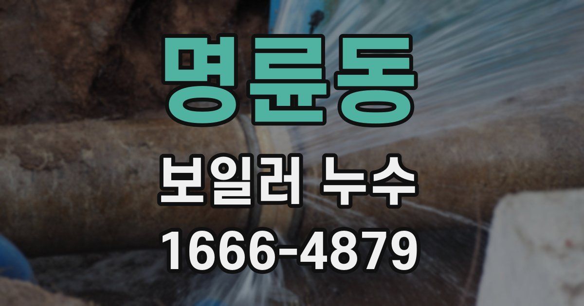 명륜동 보일러 누수