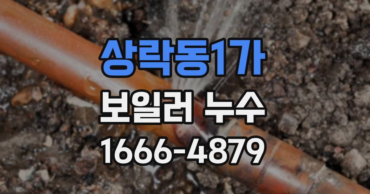상락동1가 보일러 누수