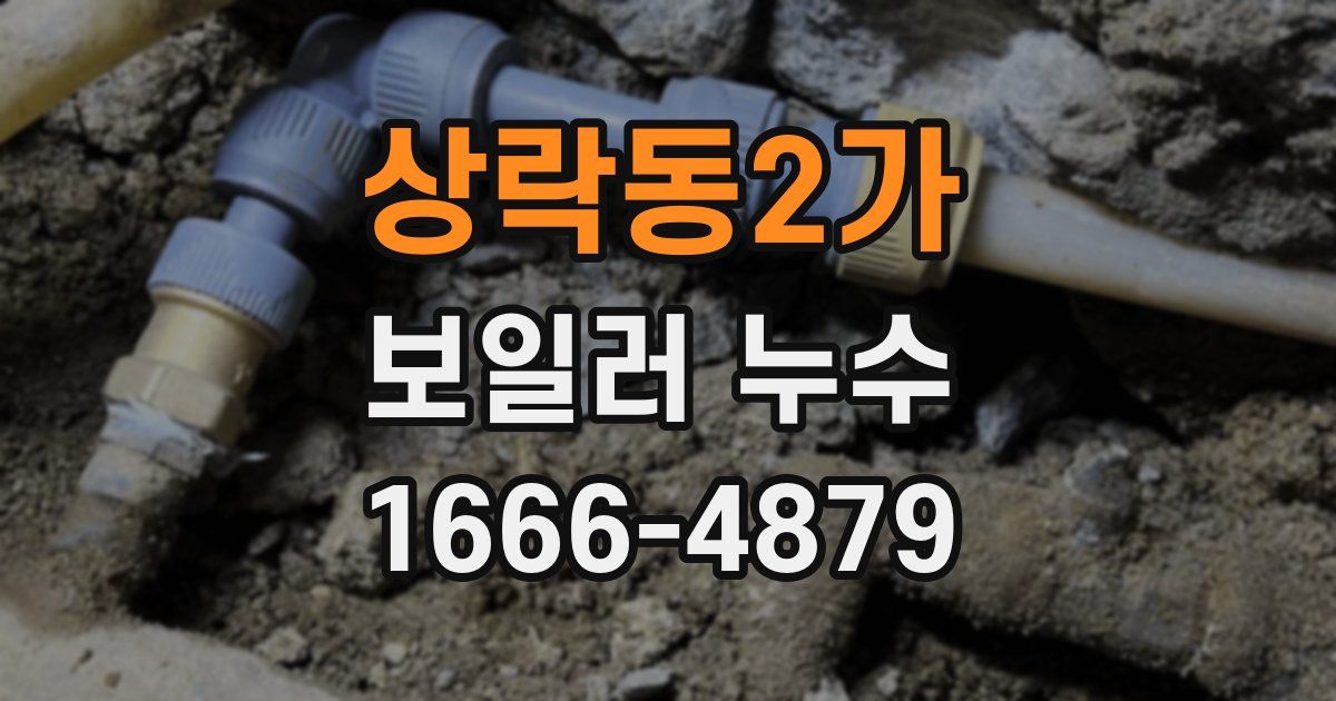 상락동2가 보일러 누수