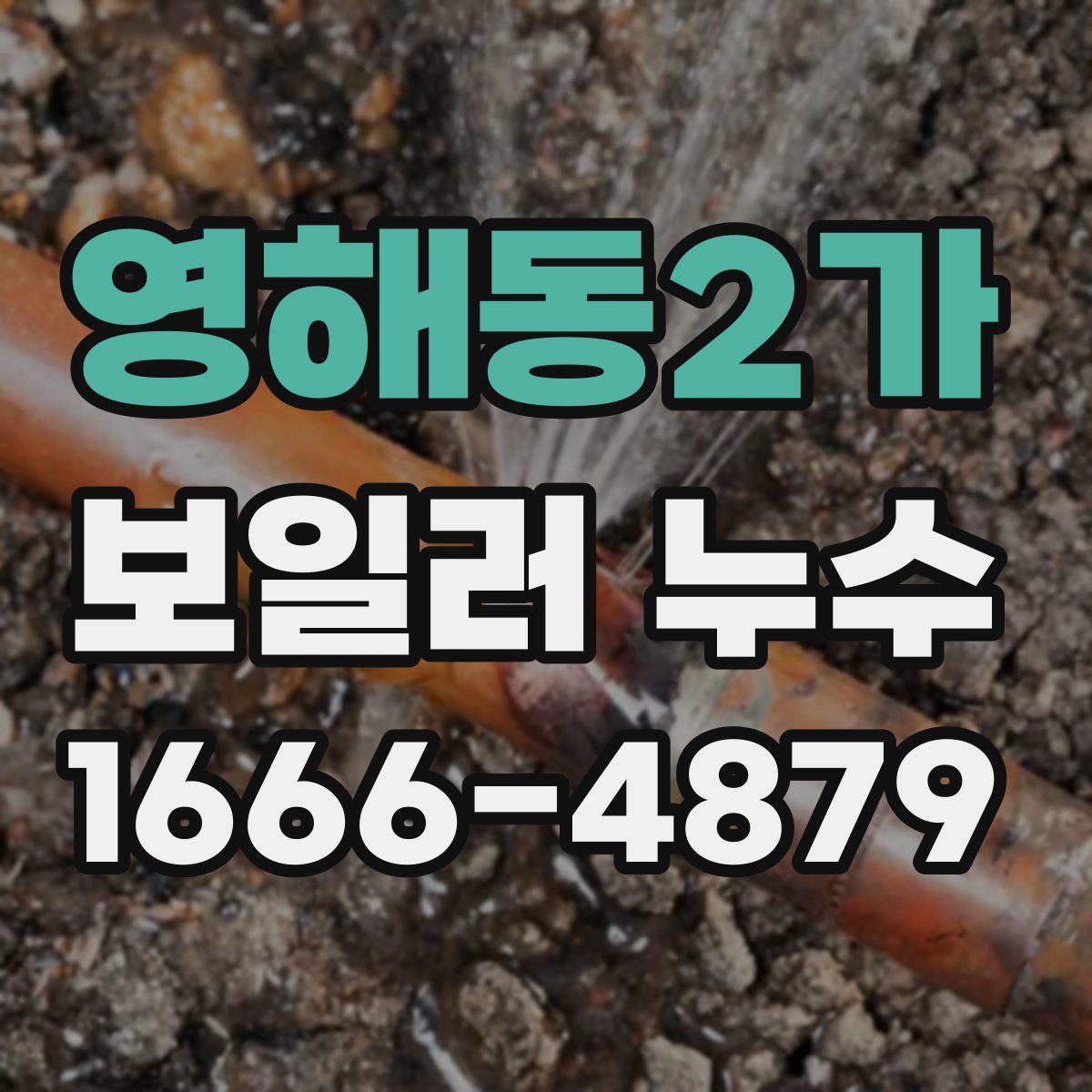 영해동2가 보일러 누수