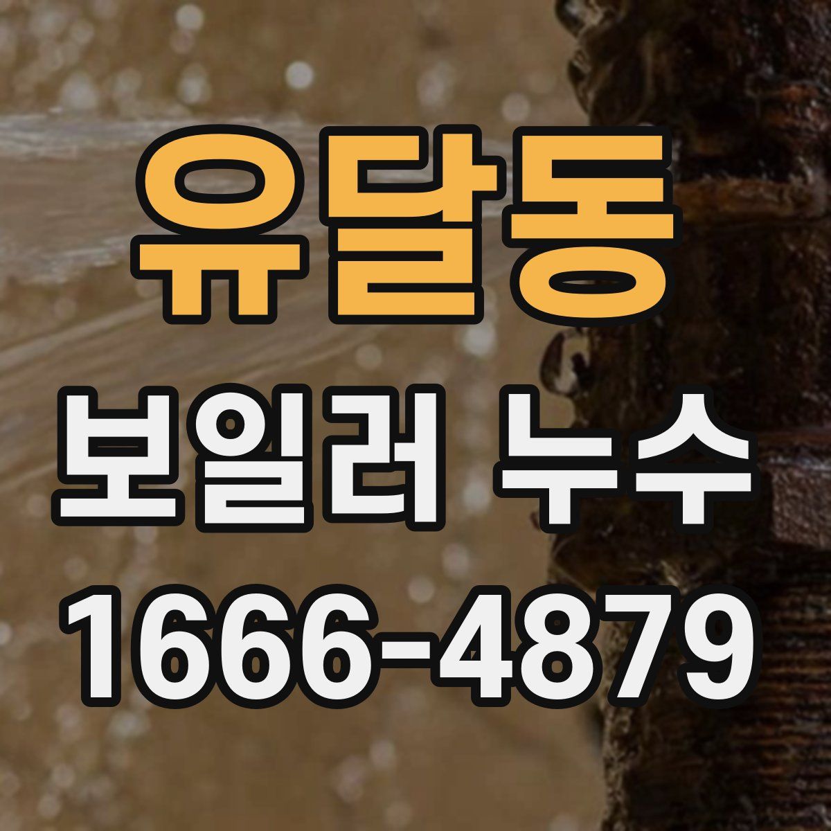 유달동 보일러 누수