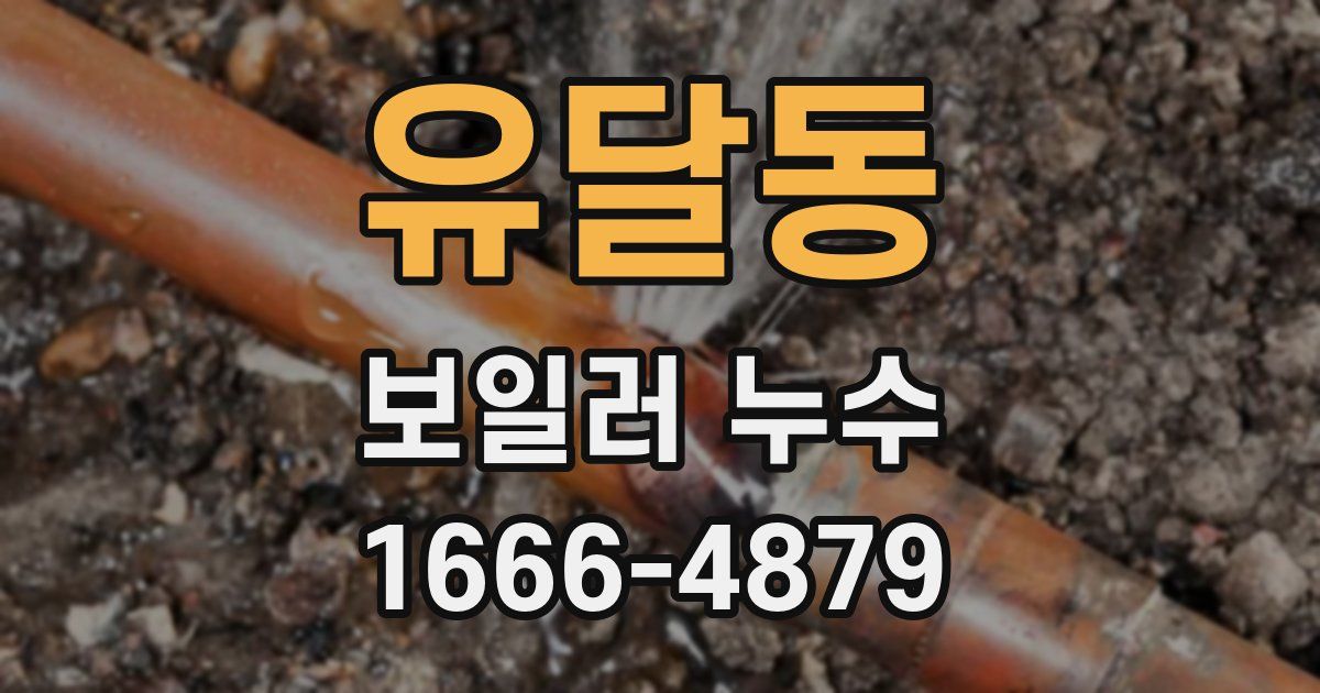 유달동 보일러 누수
