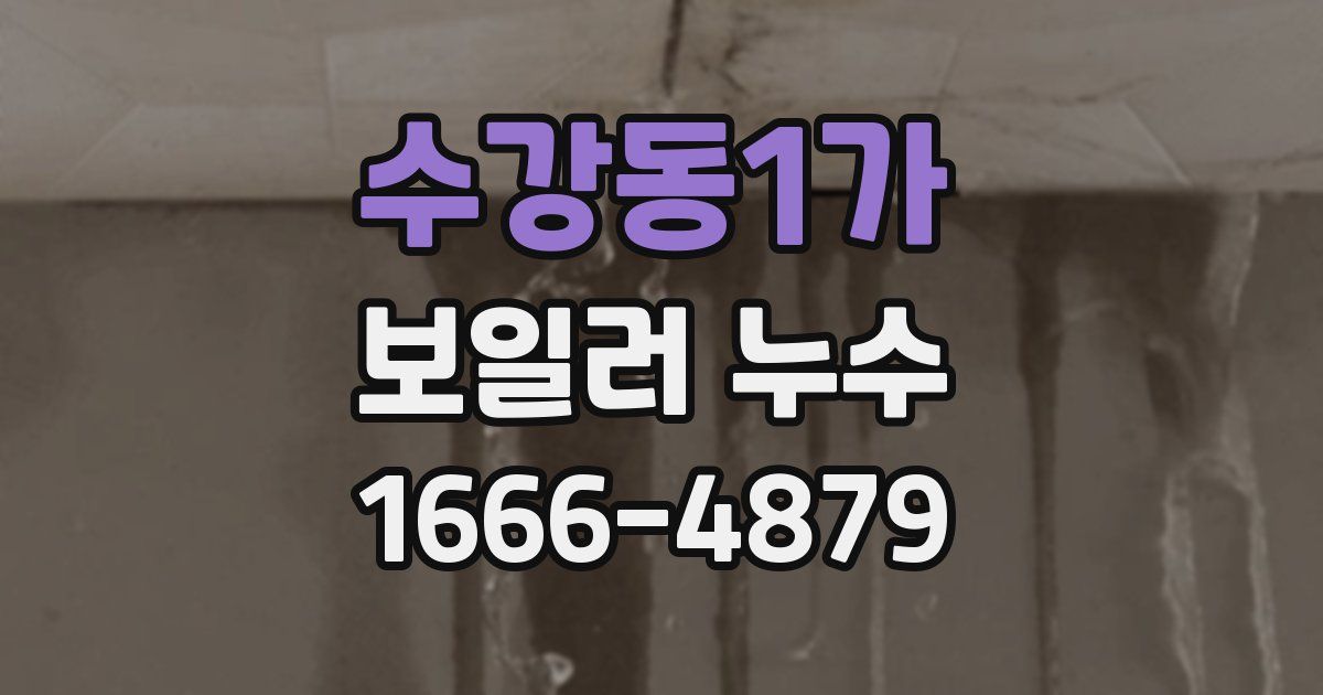 수강동1가 보일러 누수
