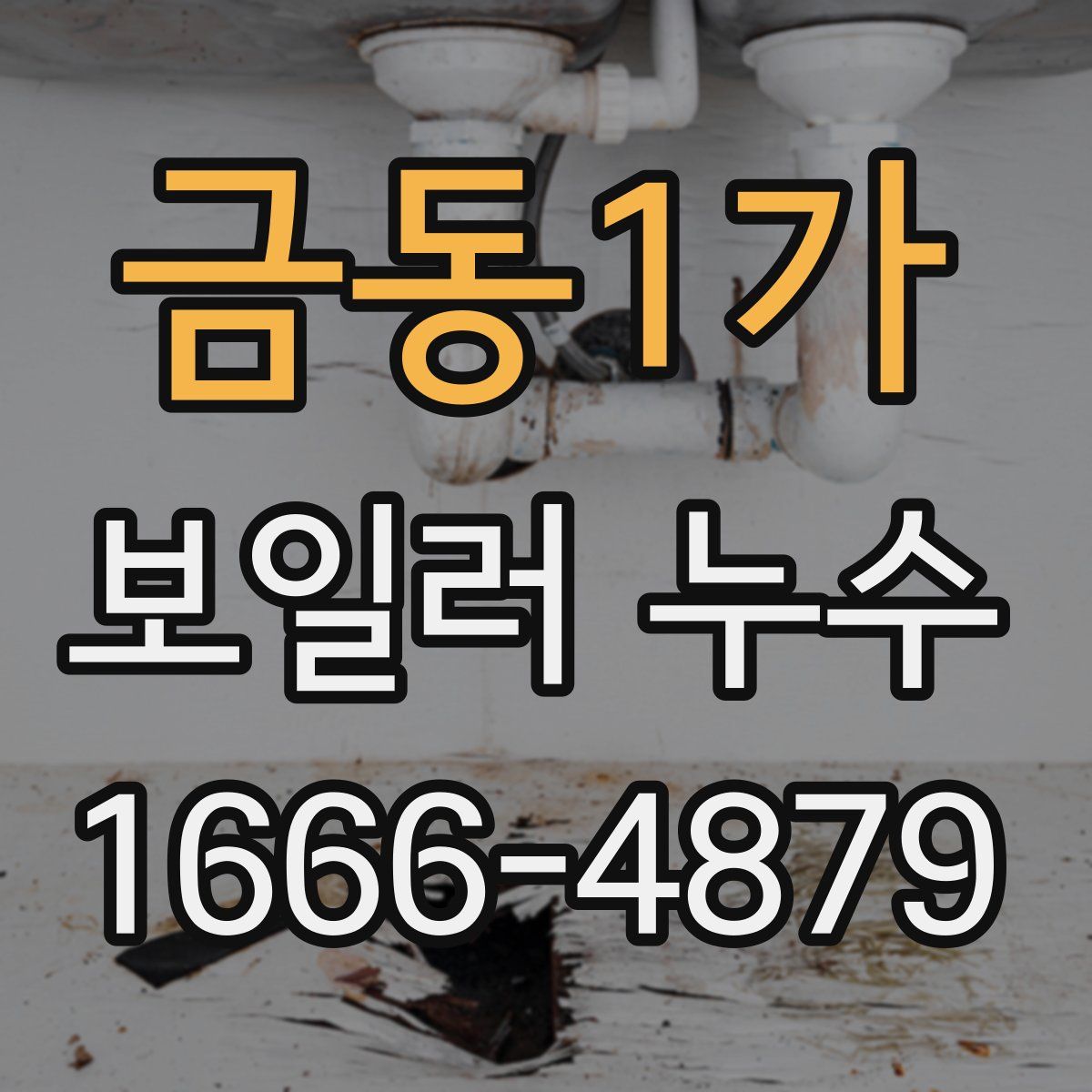 금동1가 보일러 누수