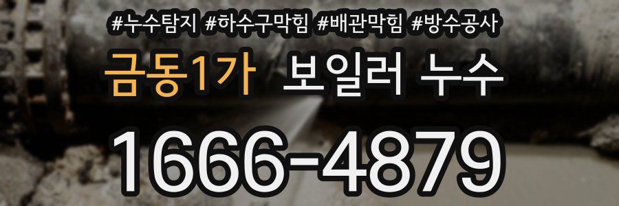 금동1가 보일러 누수