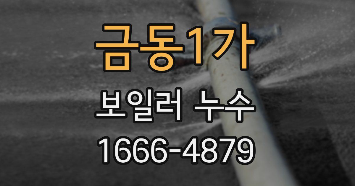 금동1가 보일러 누수