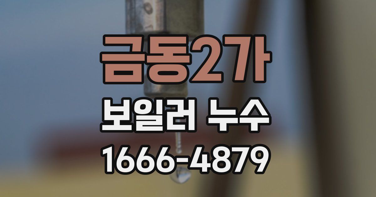 금동2가 보일러 누수