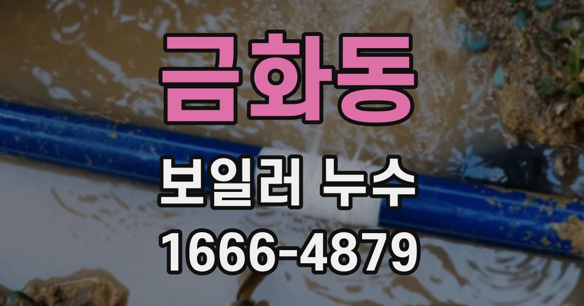 금화동 보일러 누수