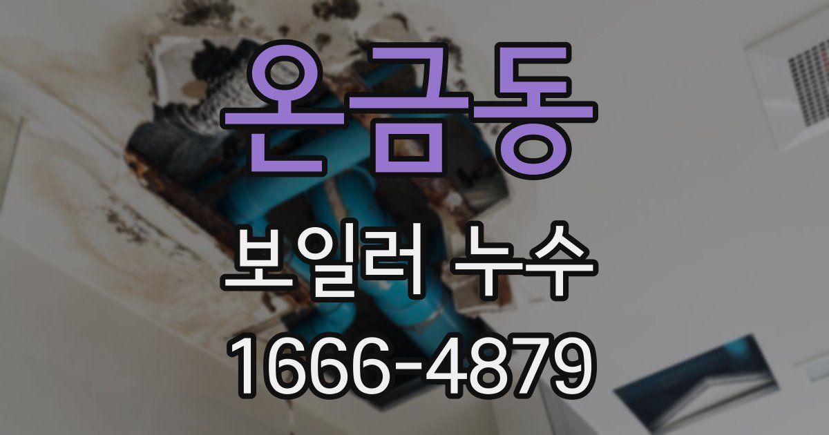 온금동 보일러 누수