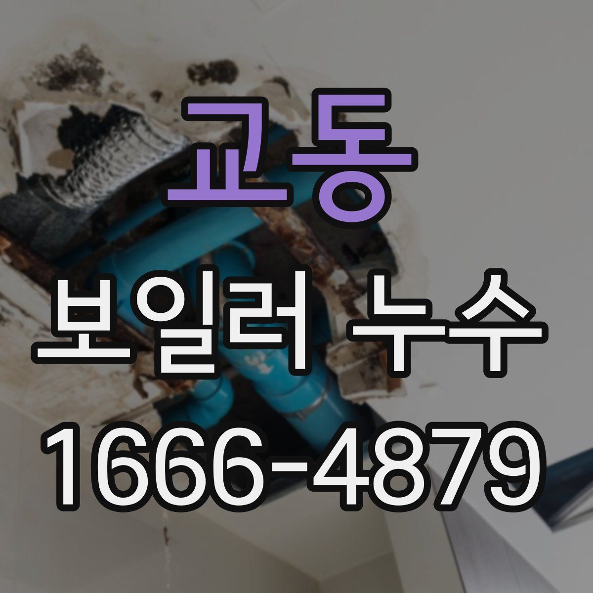 교동 보일러 누수