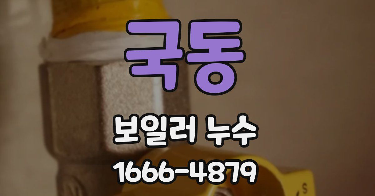 국동 보일러 누수