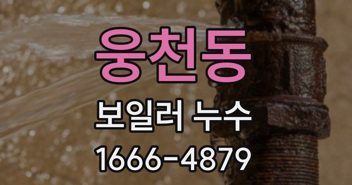 웅천동 보일러 누수