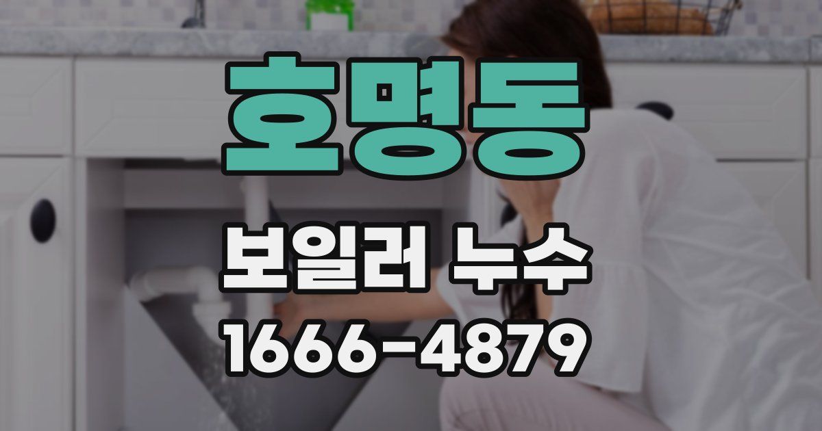 호명동 보일러 누수