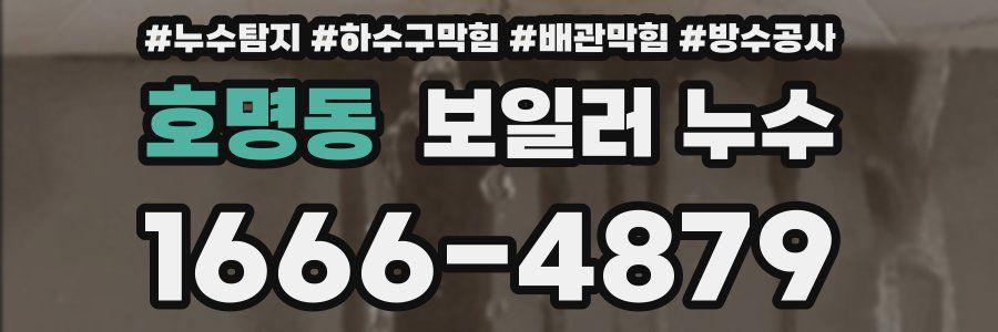 호명동 보일러 누수