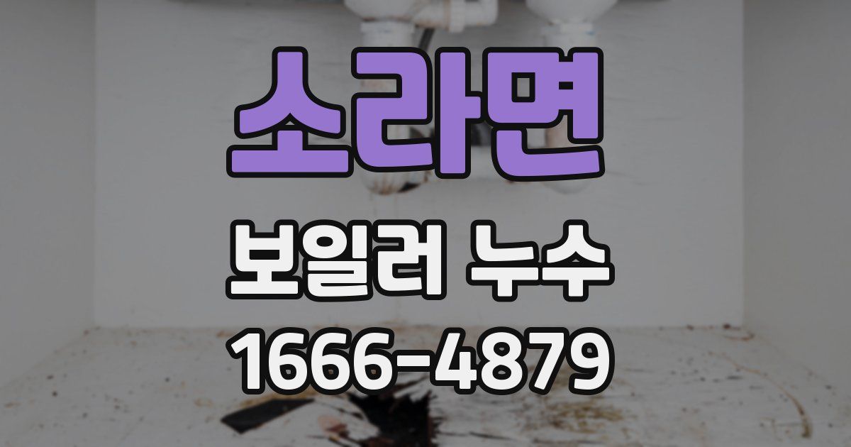 소라면 보일러 누수