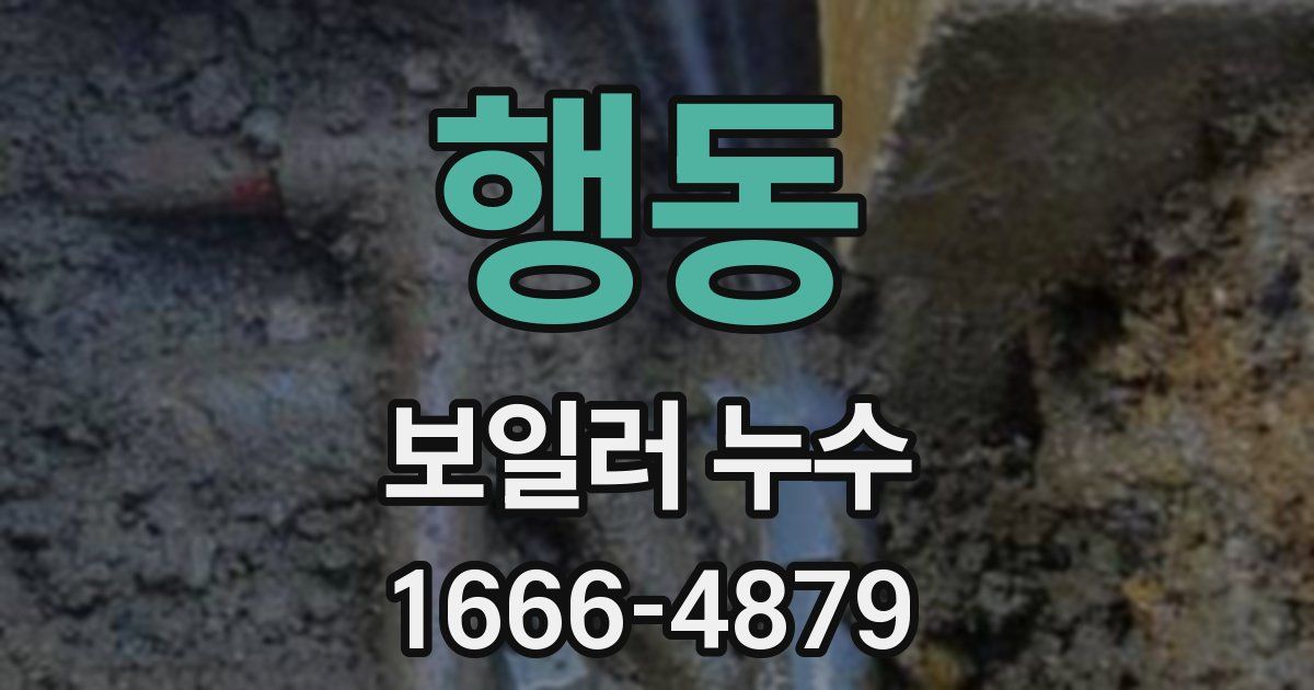 행동 보일러 누수