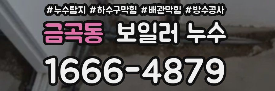 금곡동 보일러 누수