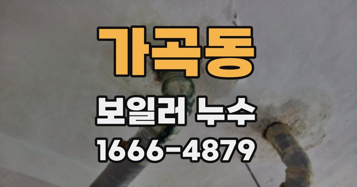 가곡동 보일러 누수