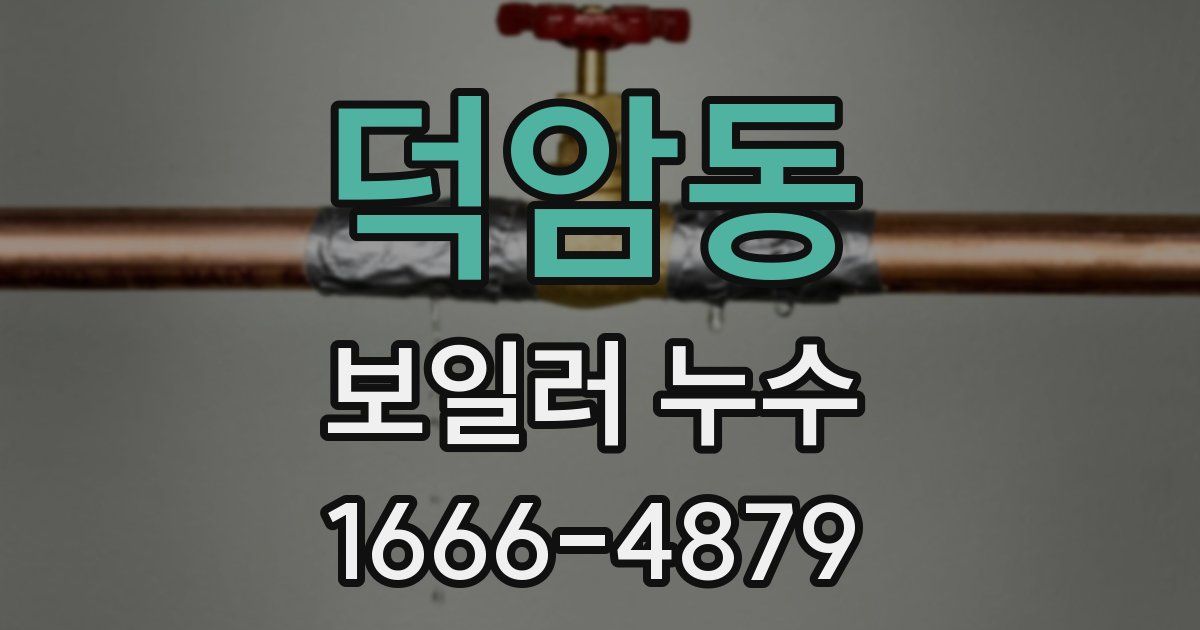 덕암동 보일러 누수