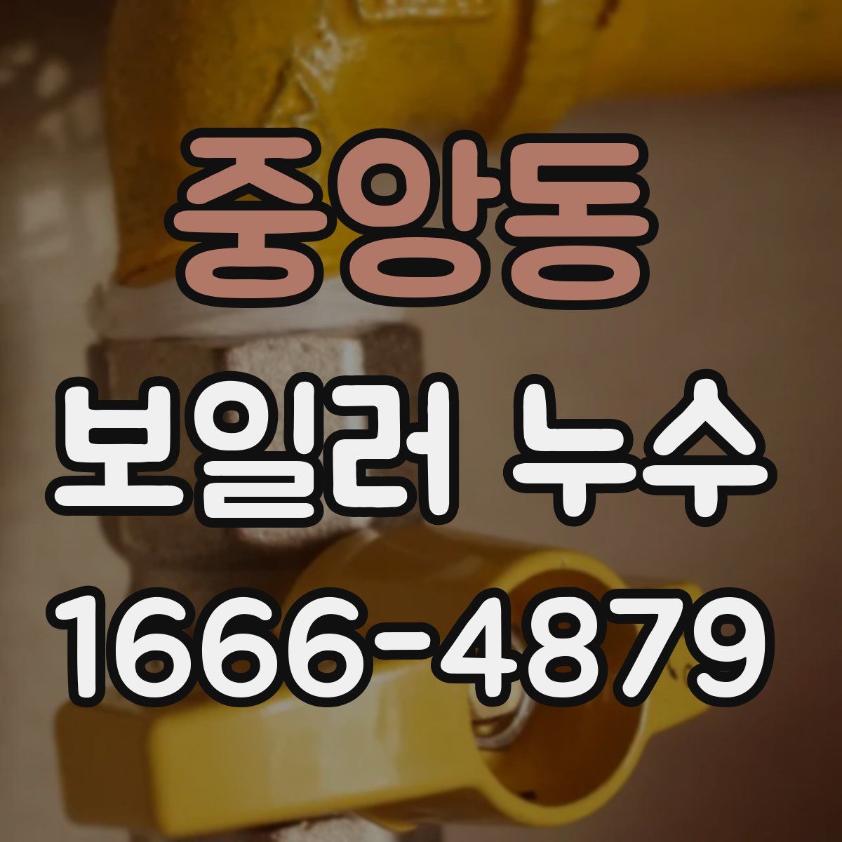 중앙동 보일러 누수
