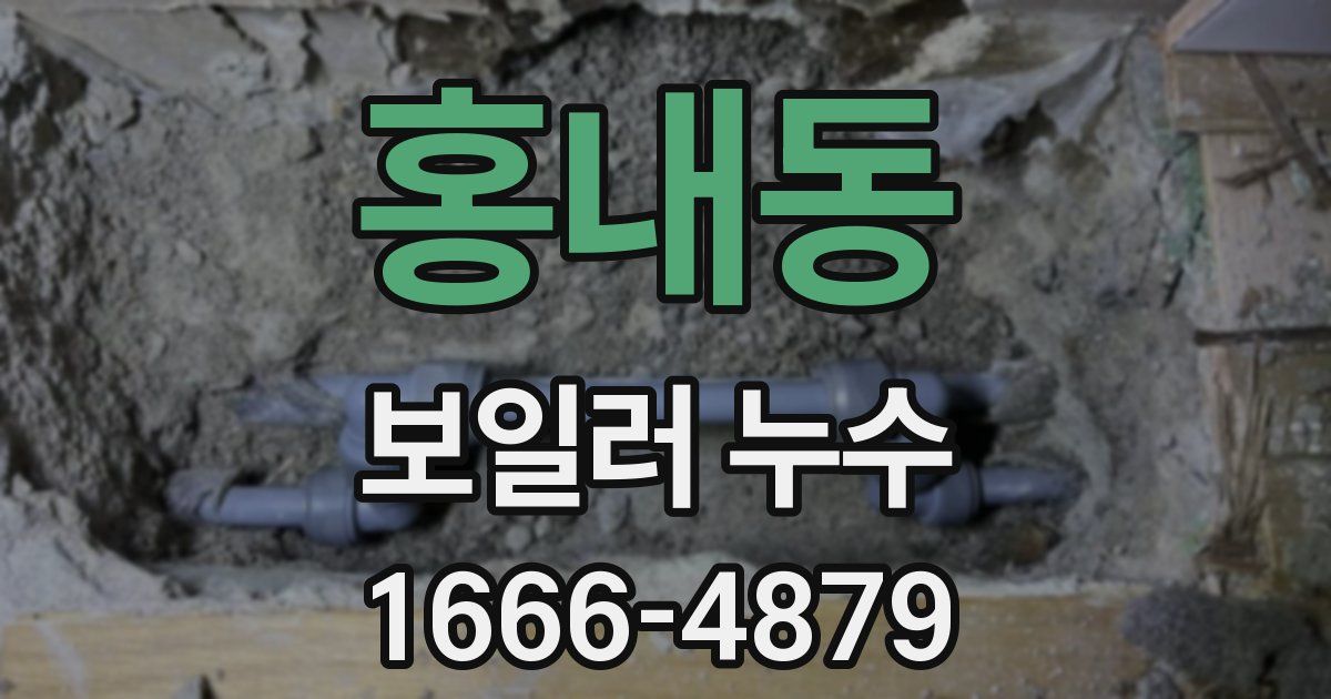 홍내동 보일러 누수