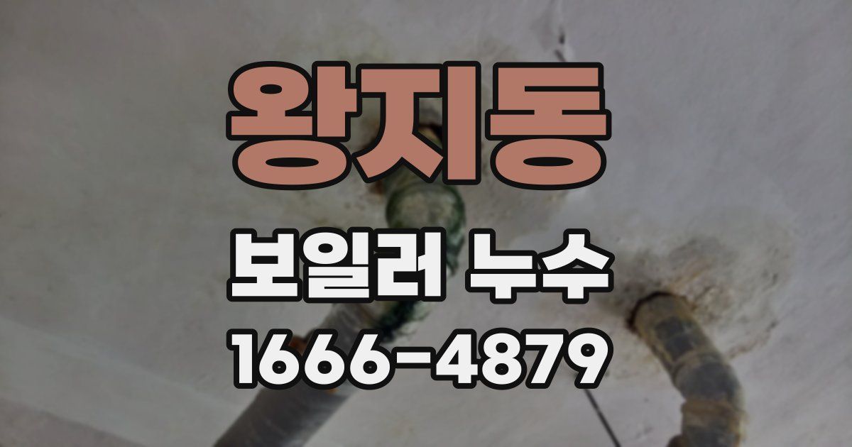 왕지동 보일러 누수