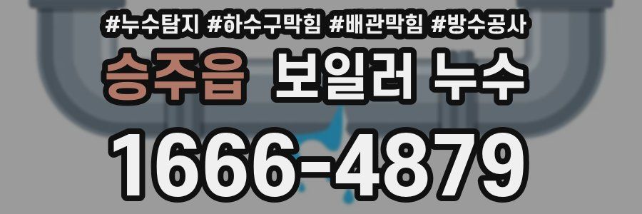 승주읍 보일러 누수