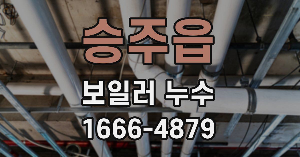승주읍 보일러 누수