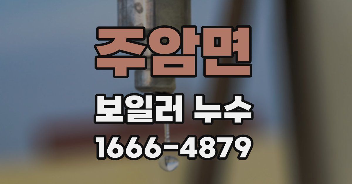 주암면 보일러 누수