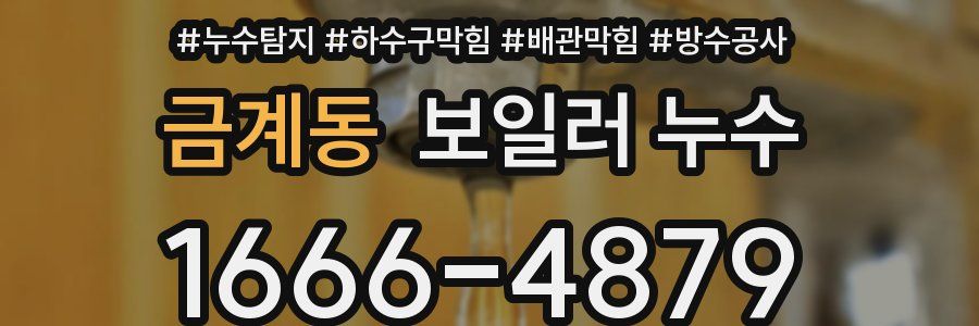 금계동 보일러 누수