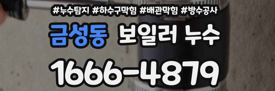 금성동 보일러 누수
